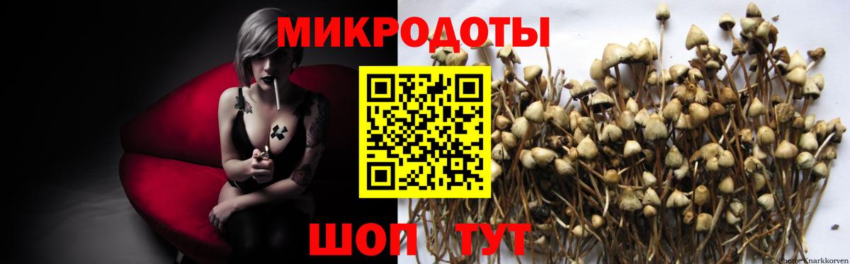 Псилоцибиновые грибы мухоморы  Вход с VPN  Касимов 
